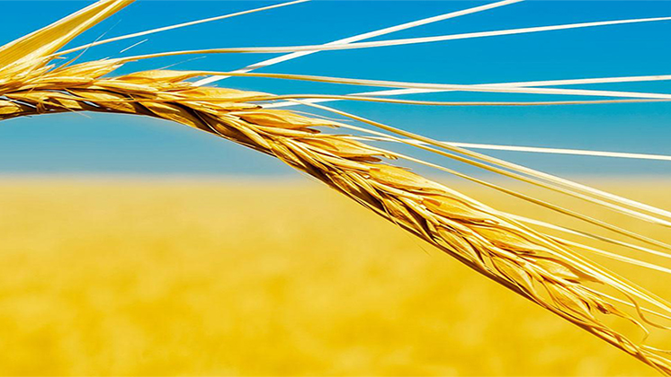 Download free bootstrap 4 admin dashboard, free boootstrap 4 templates