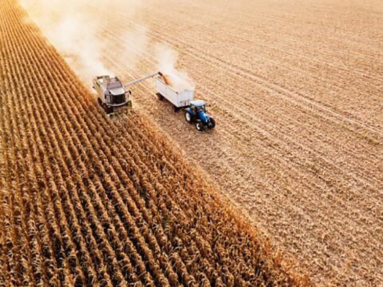 Download free bootstrap 4 admin dashboard, free boootstrap 4 templates