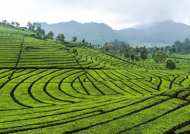 Download free bootstrap 4 admin dashboard, free boootstrap 4 templates